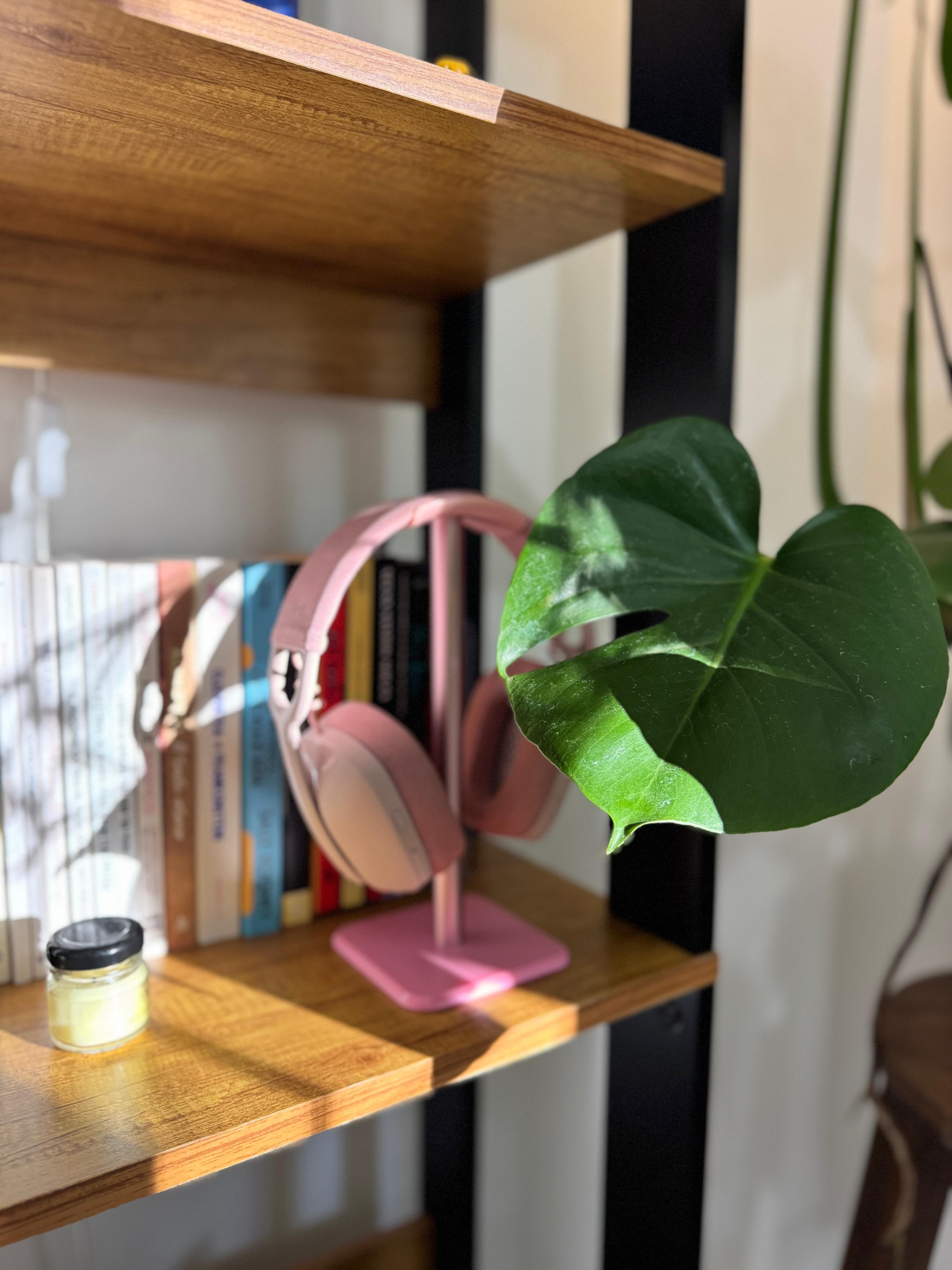 Estante com headphone rosa e planta em destaque.